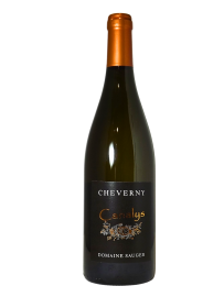 Sauger Blanc 