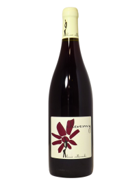 Villemade Cheverny Rouge 