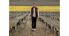 Domaine des Brissettes